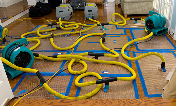 Professional Crawl Space Water Removal technician working in Shelby, IA